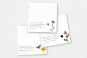 Imagen de Sticky Notes - Notas de Promesas